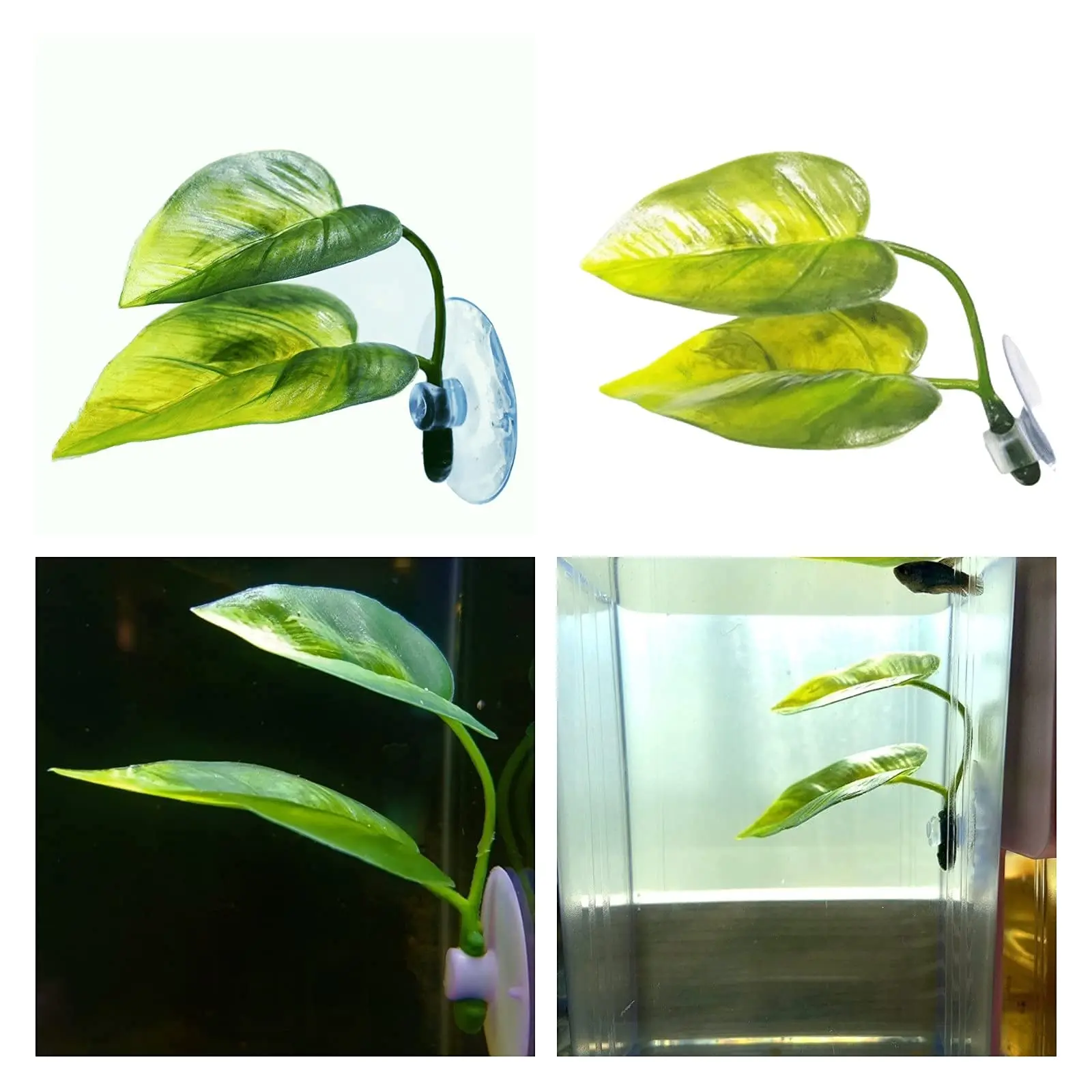 Pets Fish Tank Decor Betta Rel - Planted Aquarium For Betta ulasan dan harga