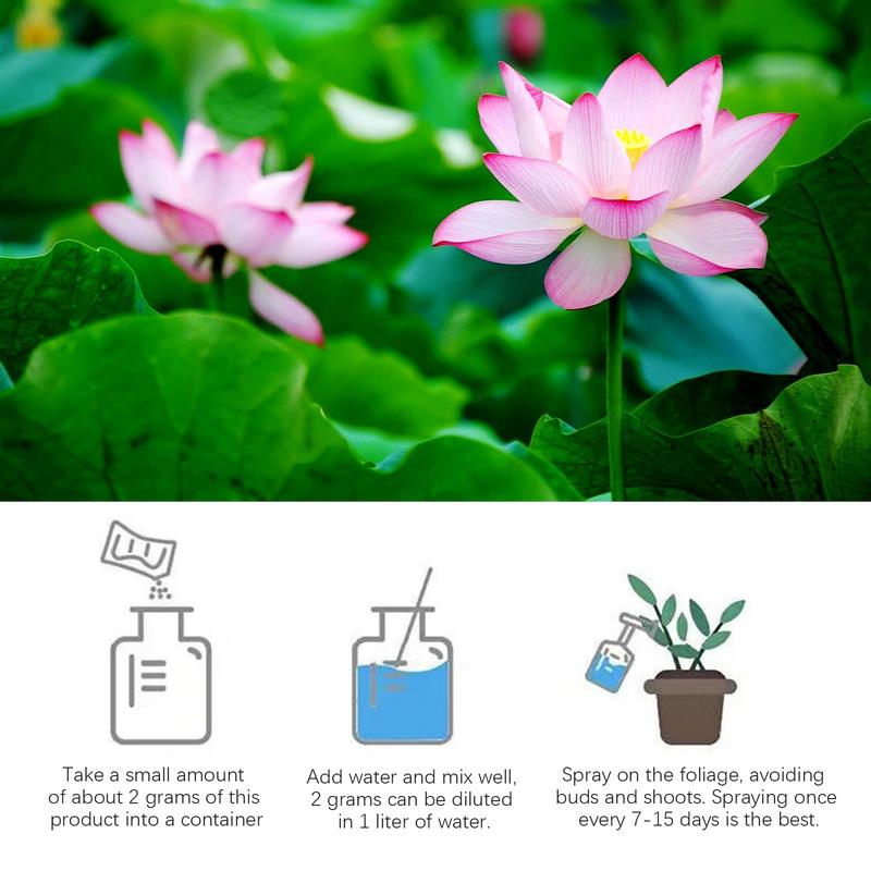 200g Natural Water Lily Flower - Aquarium Plant Fertilizer ulasan dan harga
