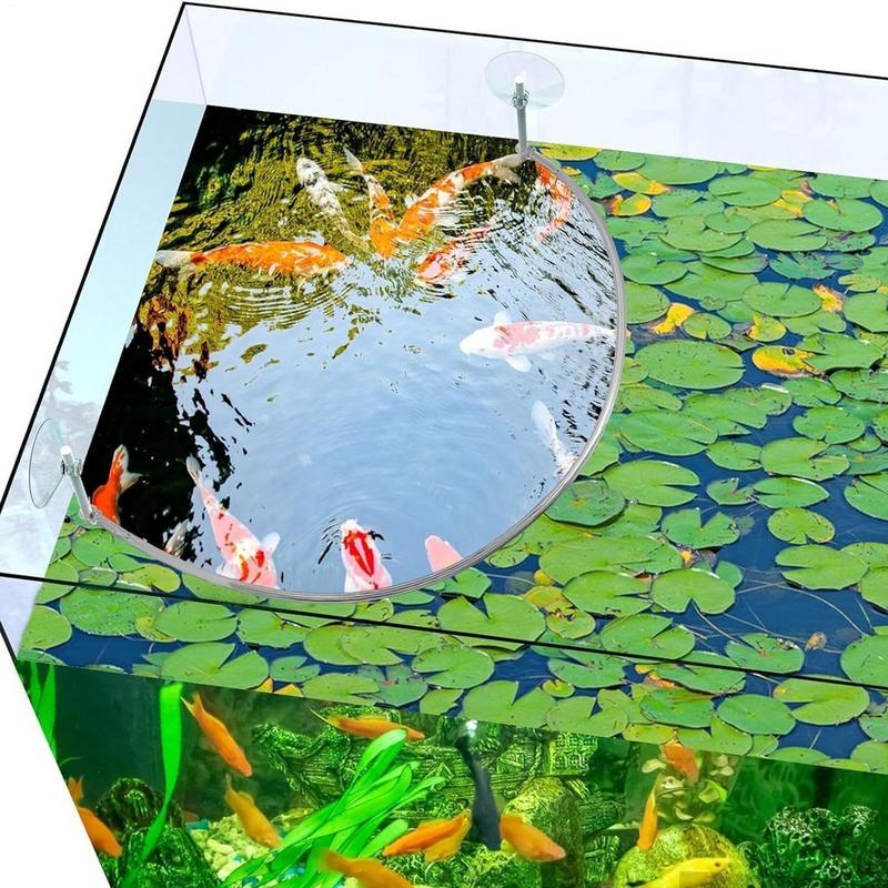 Floating Plant Corral Fish Fee - Aquarium Plant Delivery ulasan dan harga