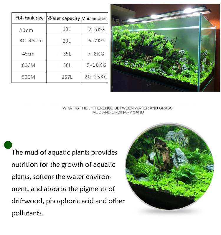 Aquarium Plant Seeds Soil Fish - Aquarium Planting Ideas ulasan dan harga