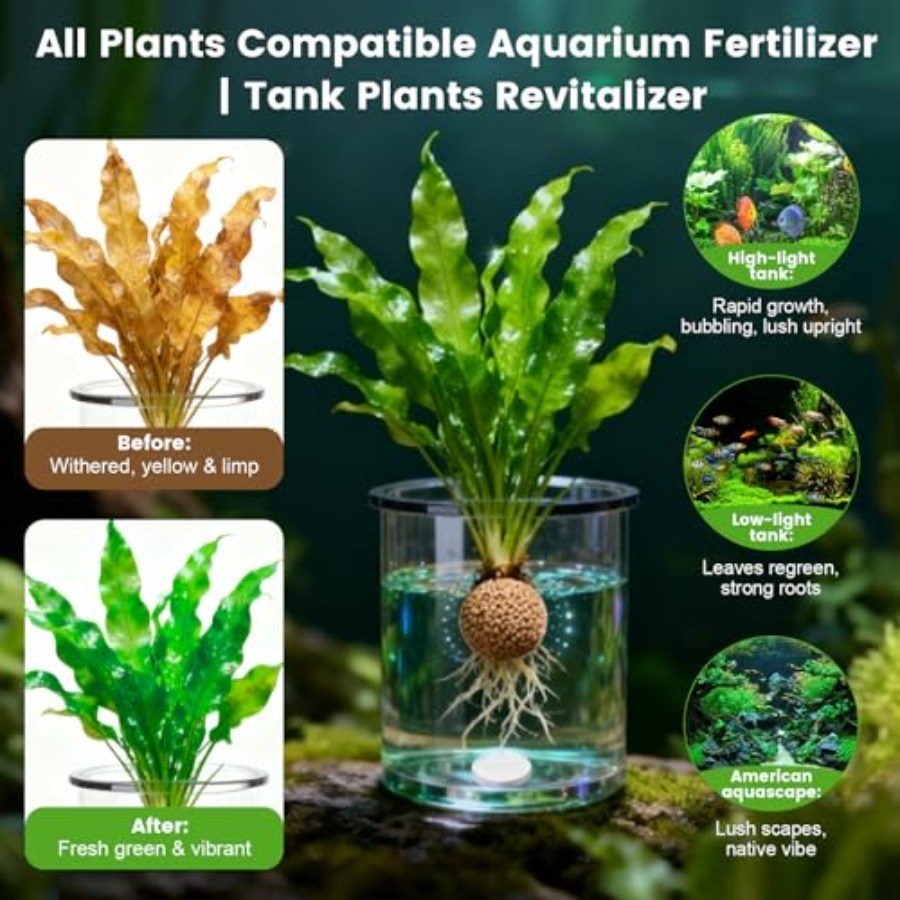 Root Tabs, Aquarium Plant Fert - Aquarium Plant Fertilizer ulasan dan harga