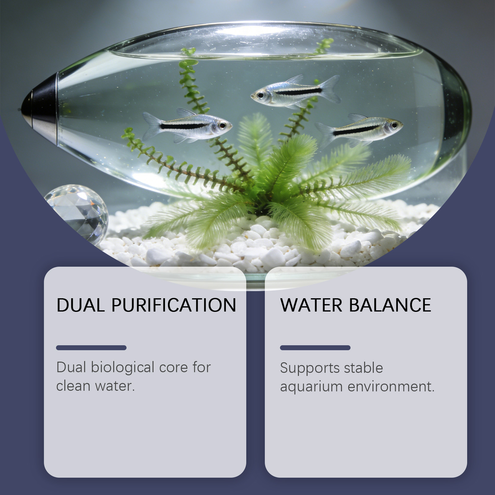 Algae Remover Tablets for Aqua - Planted Aquarium Algae Remover ulasan dan harga