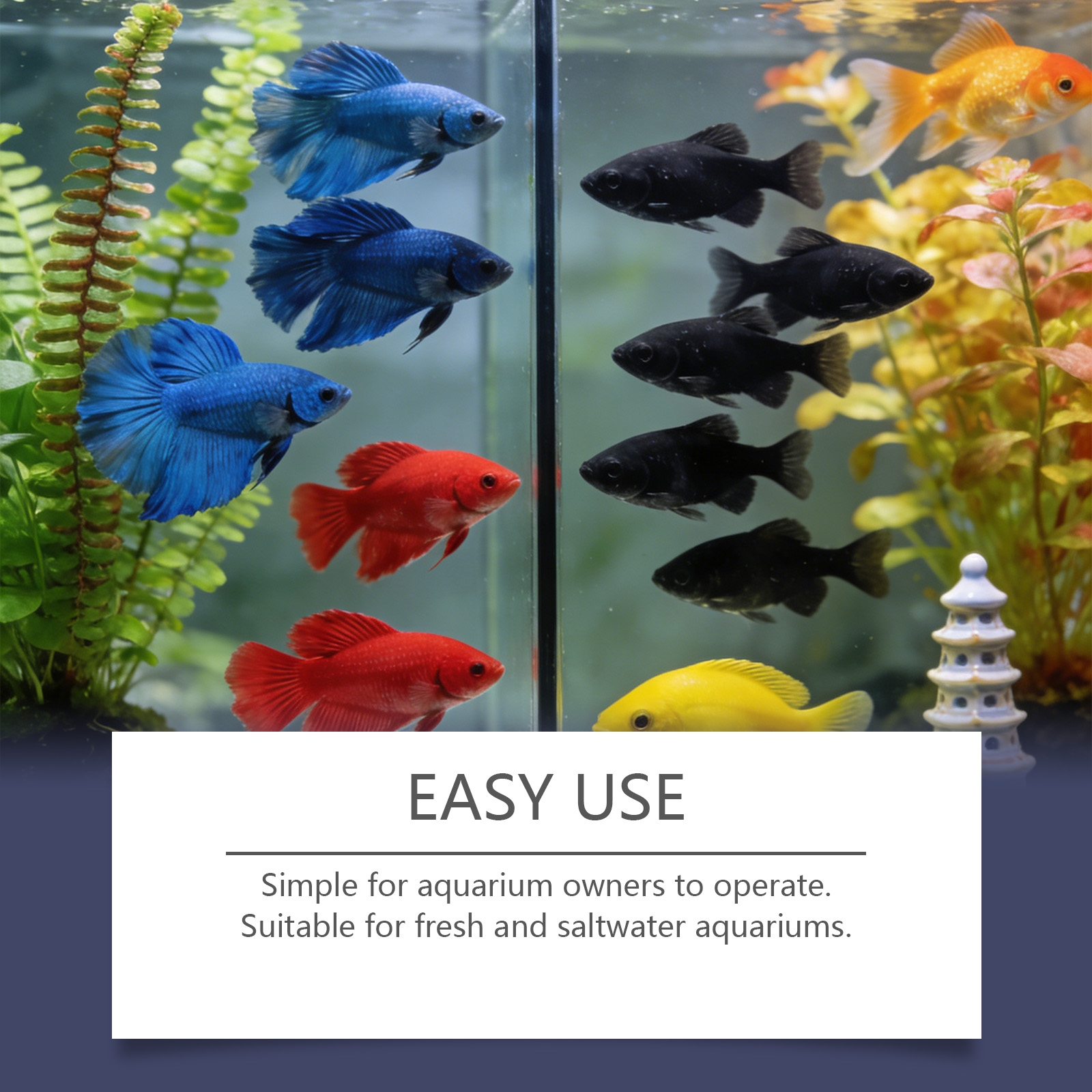 Algae Remover Tablets for Aqua - Planted Aquarium Algae Remover ulasan dan harga