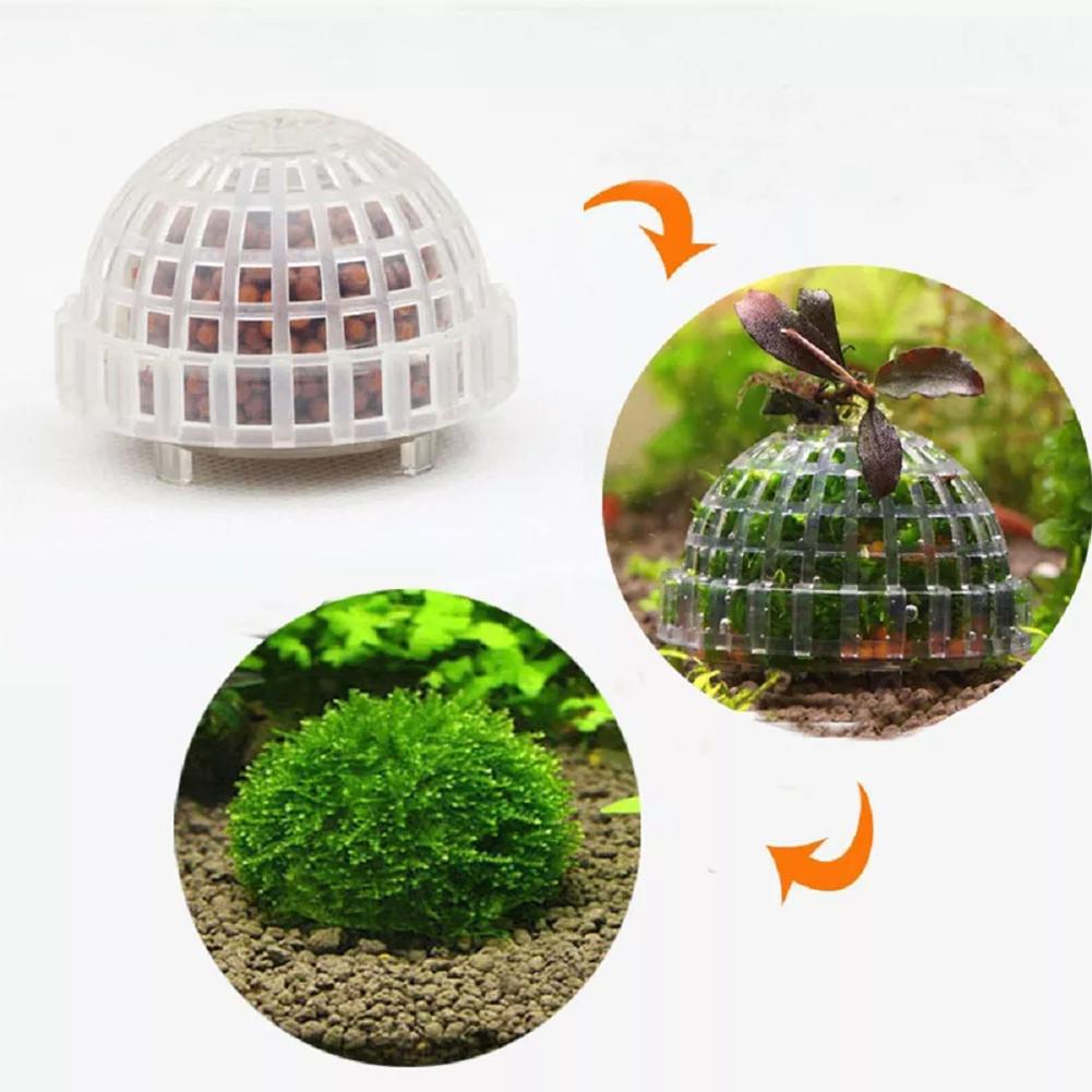 1pc Aquatic Pet Supplies Decor - Planted Aquarium Maintenance ulasan dan harga