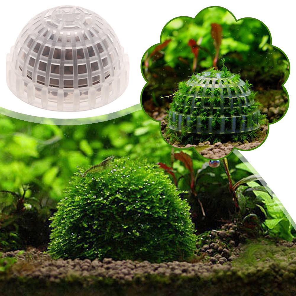 1pc Aquatic Pet Supplies Decor - Planted Aquarium Maintenance ulasan dan harga