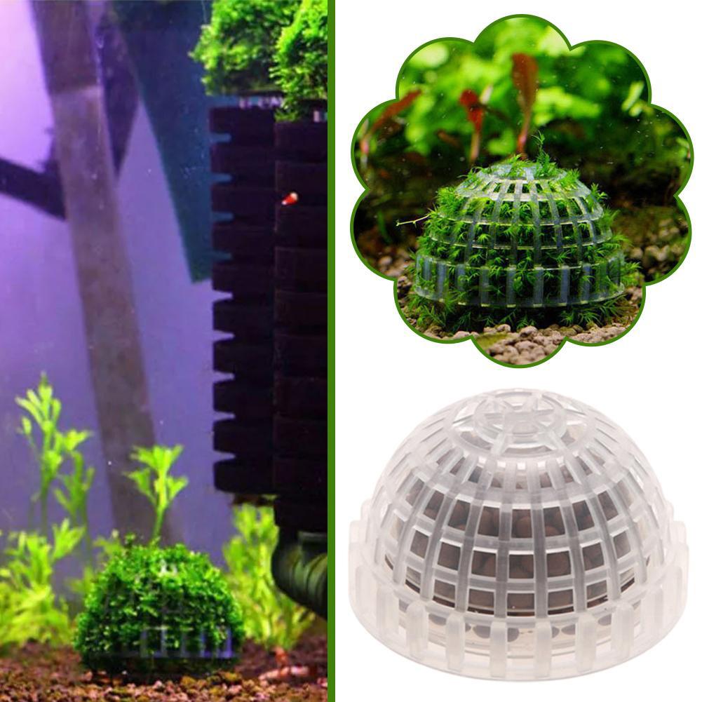 1pc Aquatic Pet Supplies Decor - Planted Aquarium Maintenance ulasan dan harga