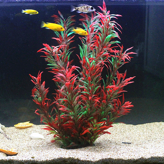 50CM Artificial Fish Tank Rare - Aquarium Planting Ideas ulasan dan harga
