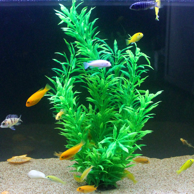 50CM Artificial Fish Tank Rare - Aquarium Planting Ideas ulasan dan harga