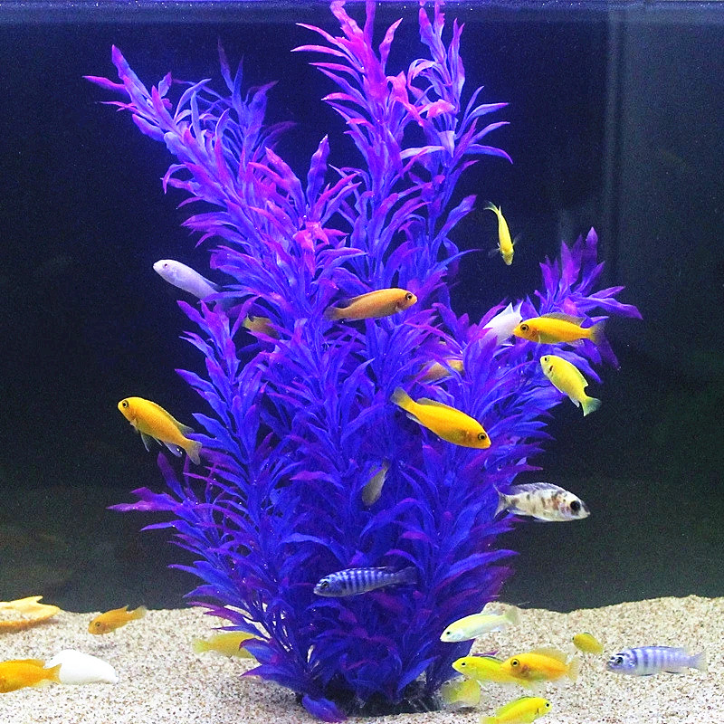50CM Artificial Fish Tank Rare - Aquarium Planting Ideas ulasan dan harga