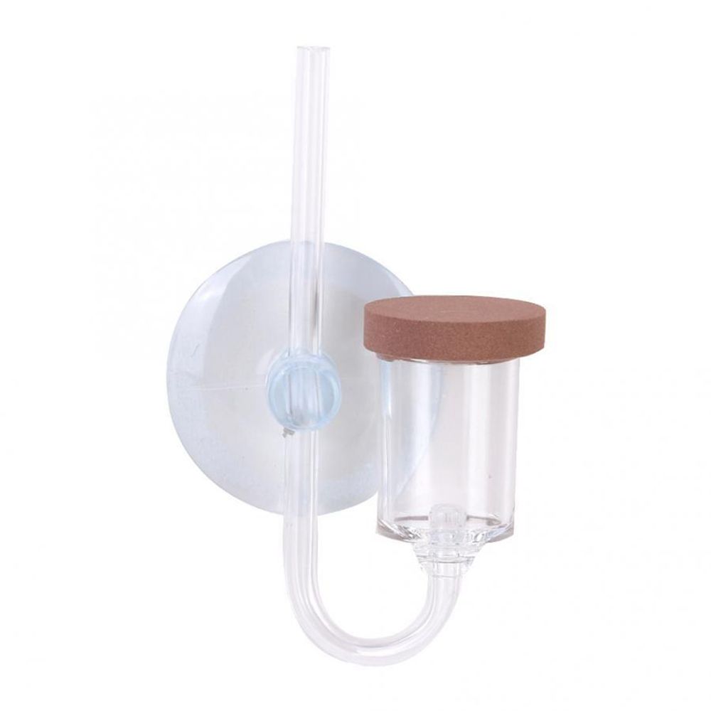 Acrylic Mini Fish Tank Live Pl - Aquarium Planting Ideas ulasan dan harga