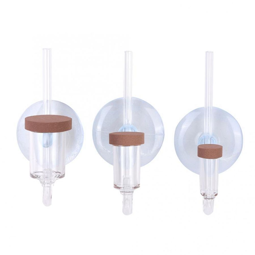 Acrylic Mini Fish Tank Live Pl - Aquarium Planting Ideas ulasan dan harga