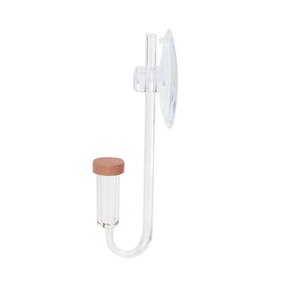 Acrylic Mini Fish Tank Live Pl - Aquarium Planting Ideas ulasan dan harga