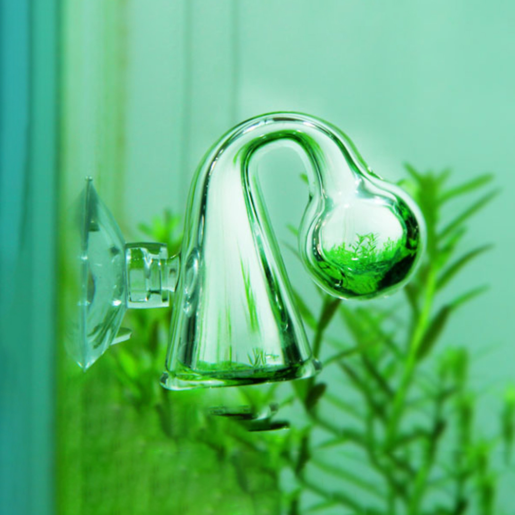 Fish Tank CO2 Diffuse Glass Dr - Aquarium Plant Delivery ulasan dan harga