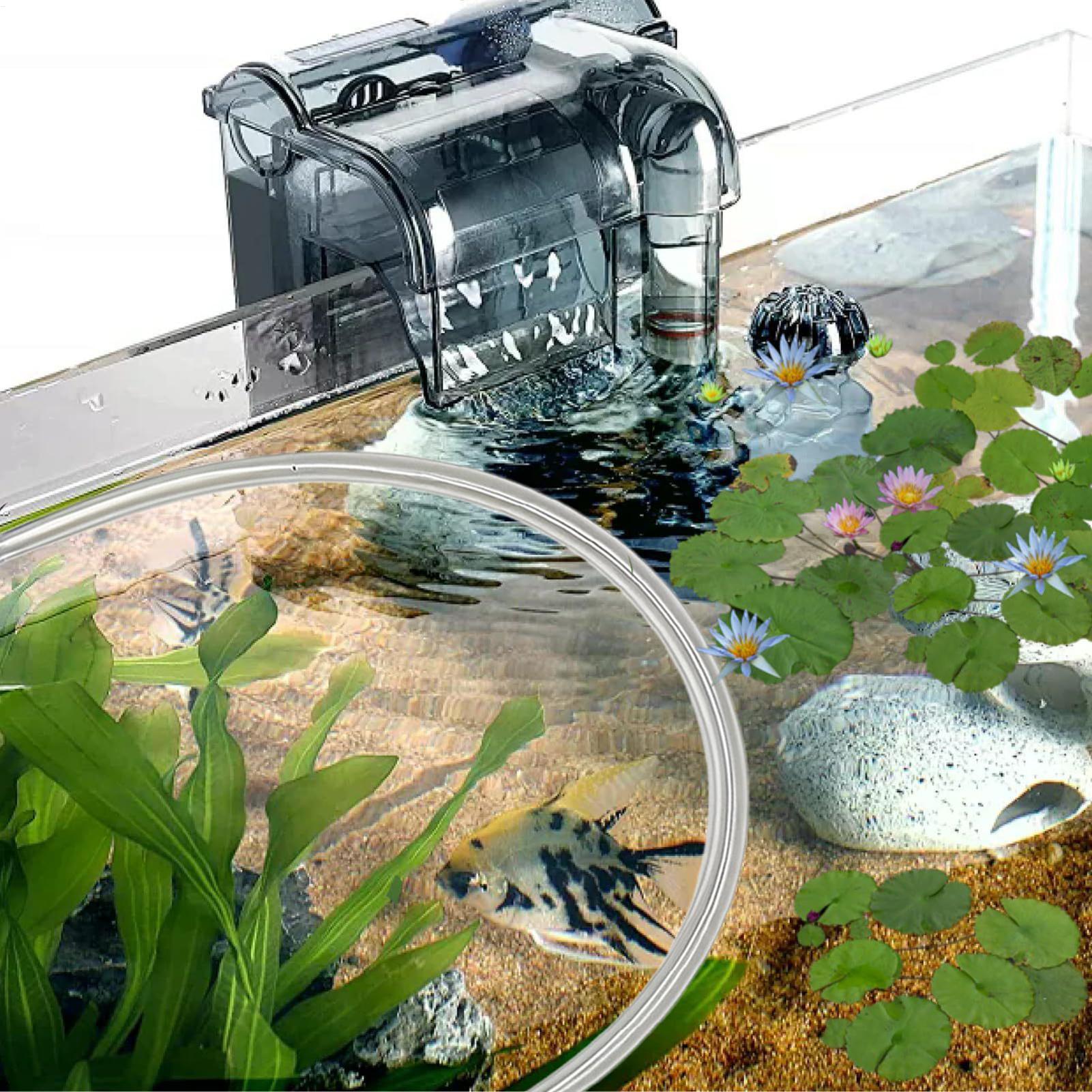 Aquarium Floating Plant Barrie - Planted Aquarium For Betta ulasan dan harga